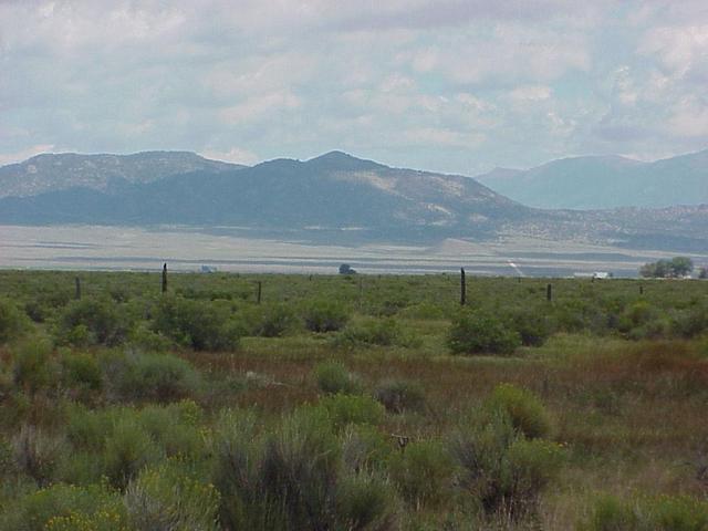 View to the north from the confluence site.