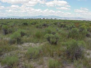 #1: View to the west from the confluence toward the San Juan Mountains.