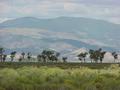 #7: Beautiful view to the west from the confluence site.