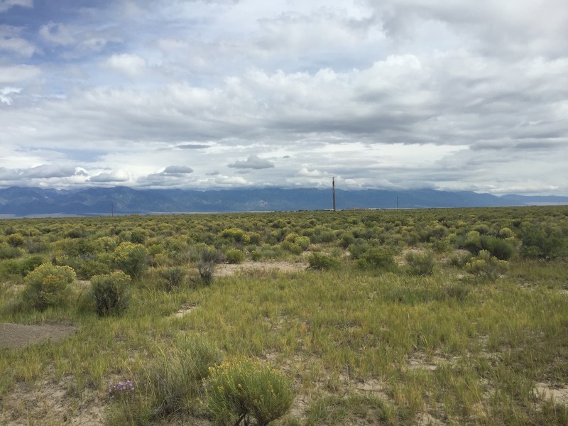 View to the east from the confluence.