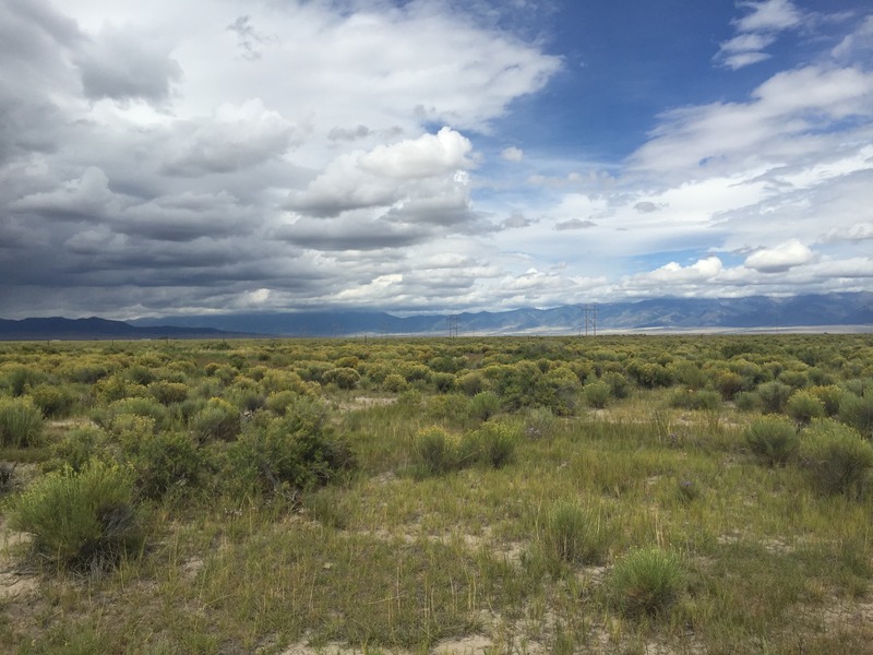 View to the north from the confluence.