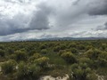 #3: View to the west from the confluence.