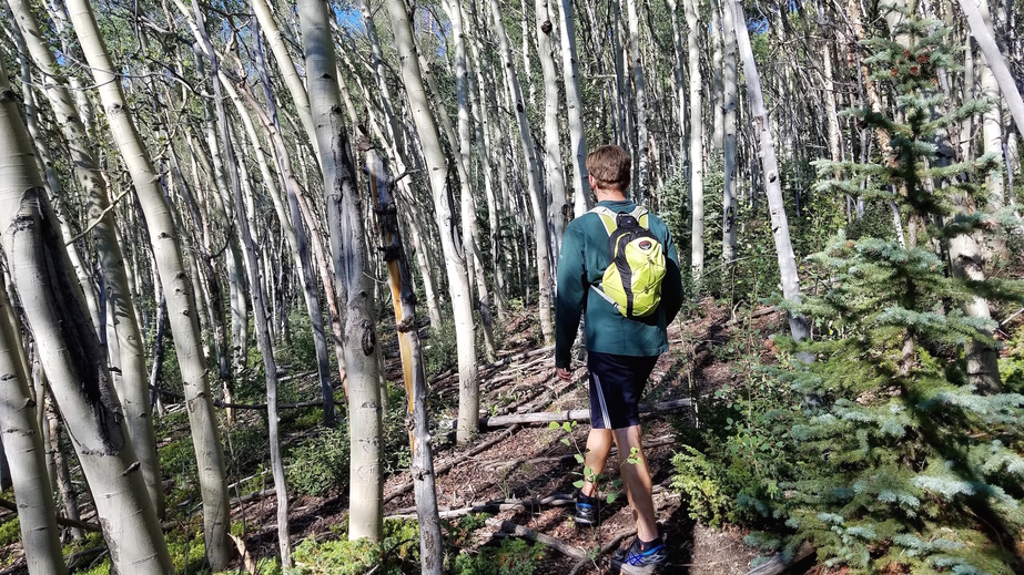 Part of the Cebolla "Trail"