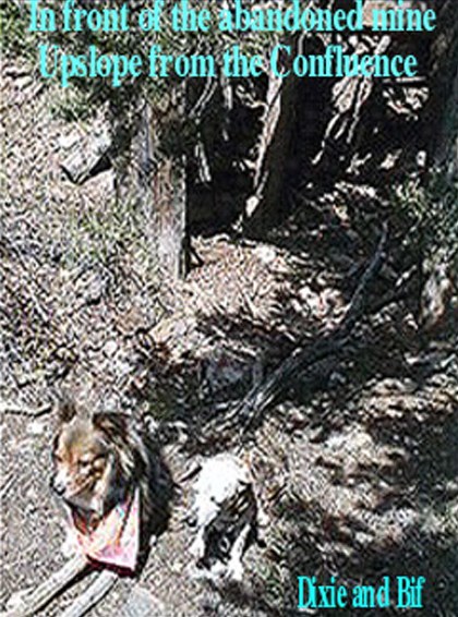 My short-legged companions in front of the Mine