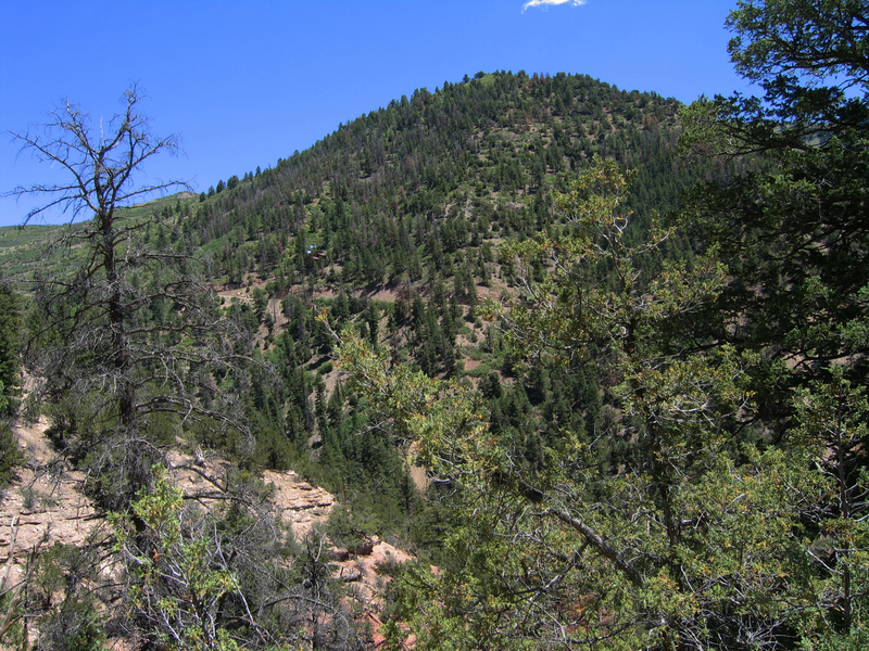 View east across ravine.