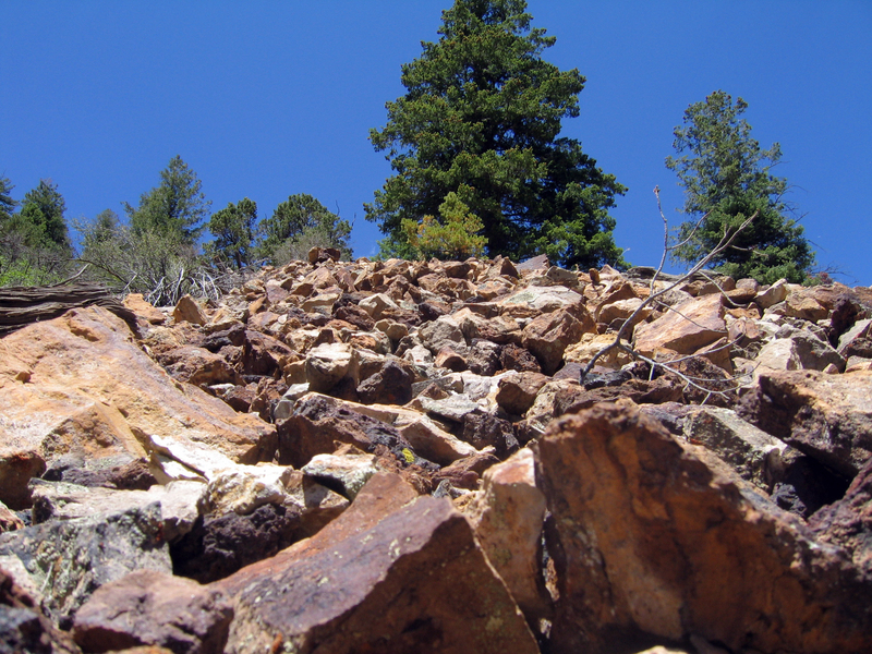 Low aspect view looking up the scree slope. 