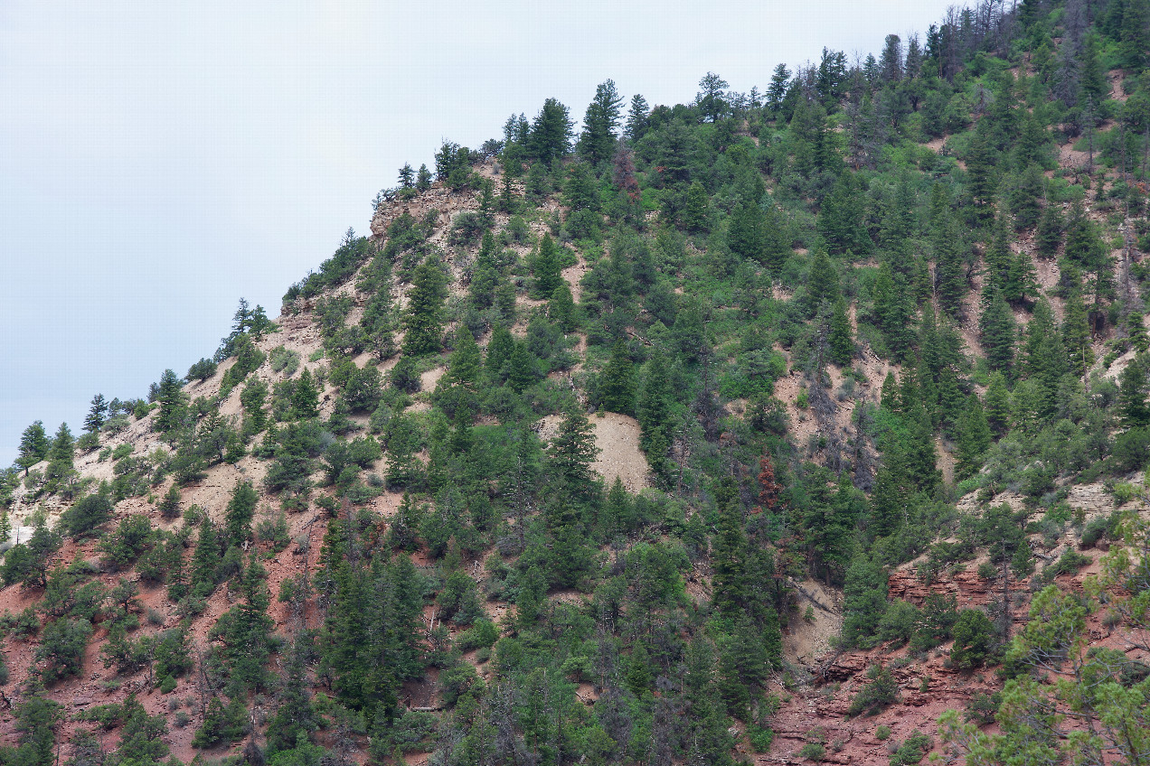 Looking towards the point (in the bare area, in the center of the image) from 407 meters away