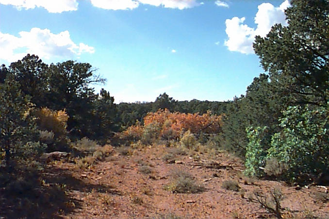 Looking west, autumn starts early here.