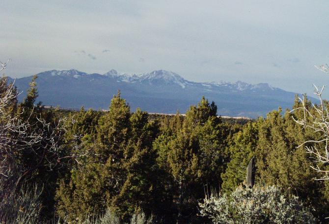 looking north to the LaSal Mountains near Moab, Utah