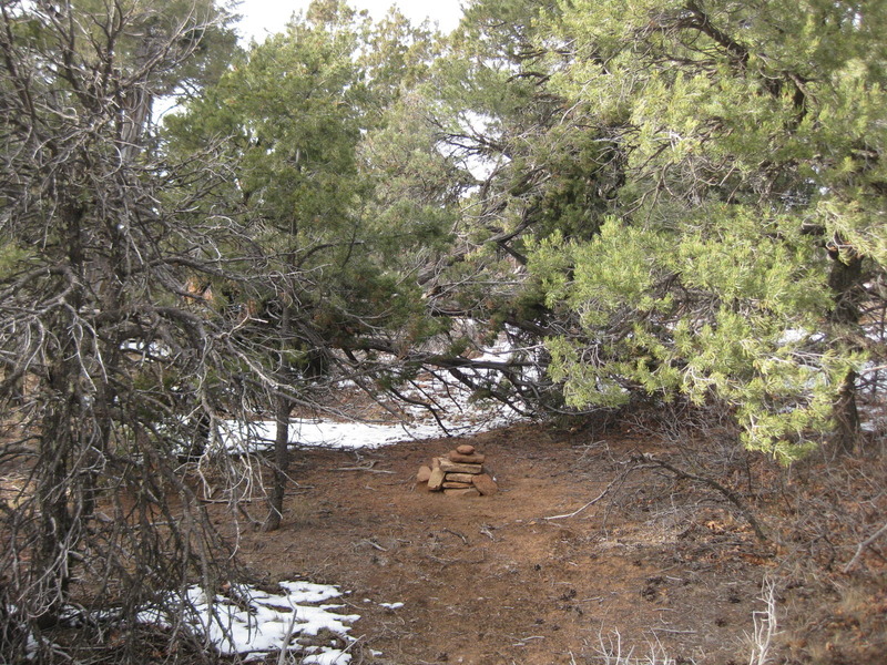 View of the confluence cairn looking north into the grove