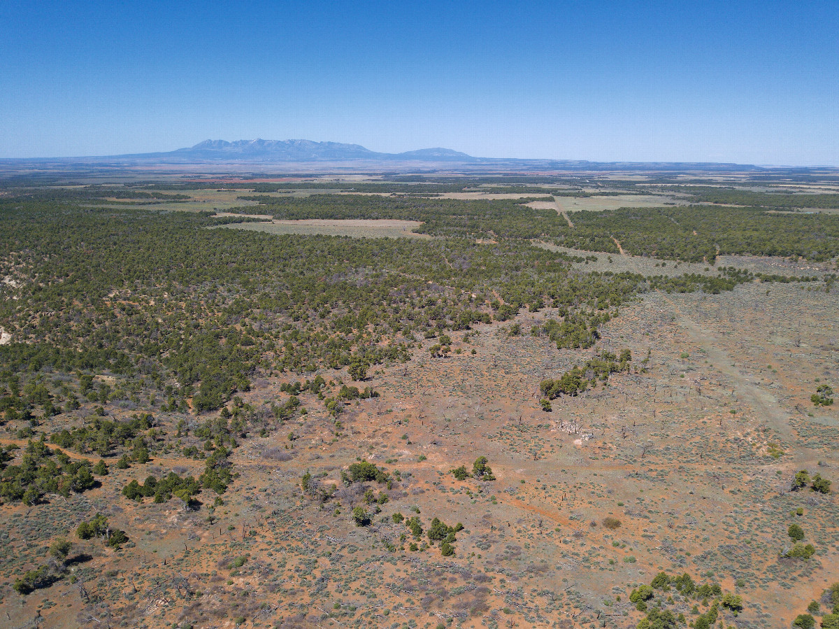 View West (towards Utah, 2.5 miles away), from 120m above the point