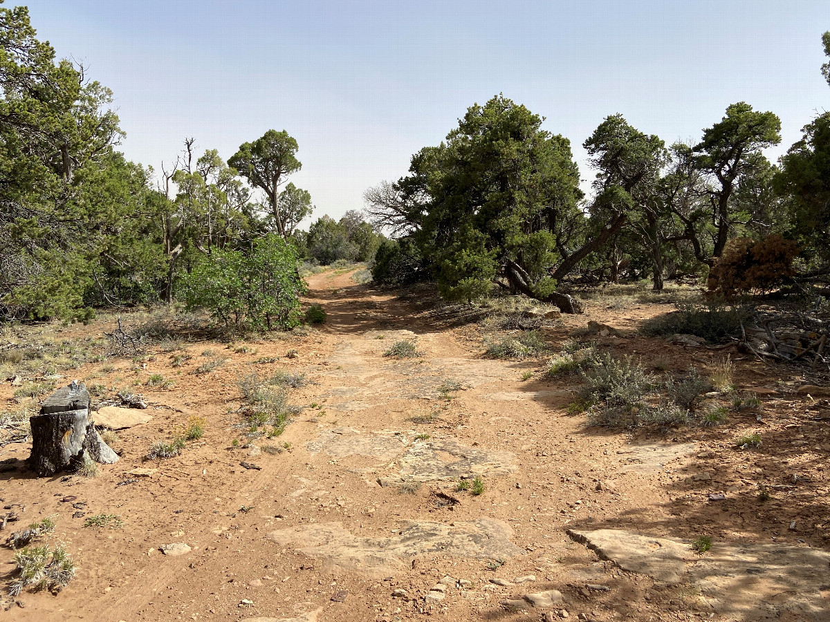 Trail to the the area near the confluence point. 