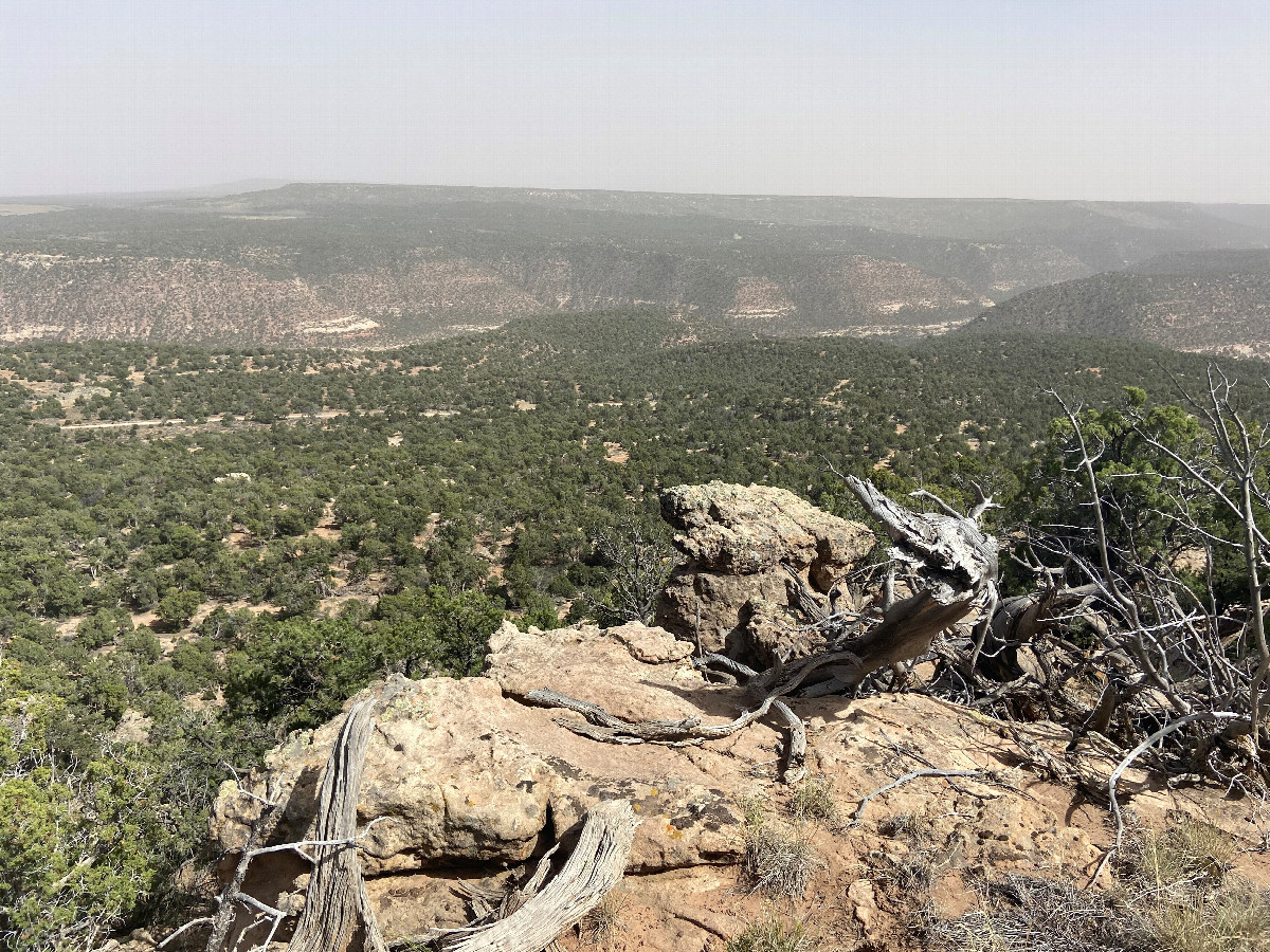 The view to the east from a location 250 m east of the confluence. 