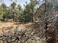 #4: View to the south from the confluence point.