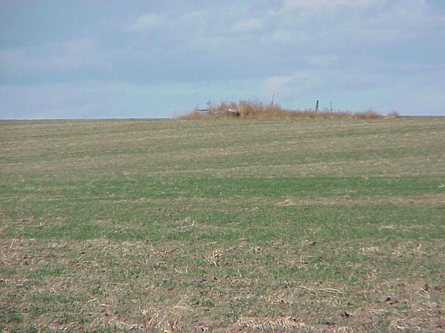 View to the north from the confluence.