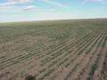 #2: View to the northeast from the confluence.