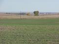 #5: View to the south-southeast from the confluence.