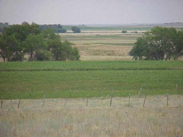 View to the southeast from the confluence.