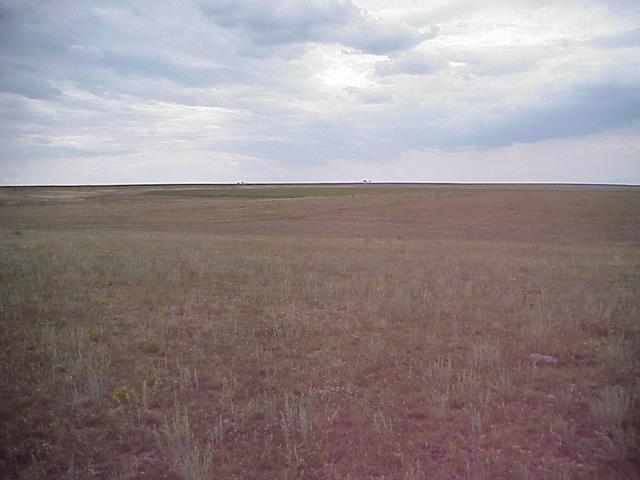 View to the west from the confluence.