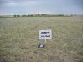 #5: Looking south from the confluence site.