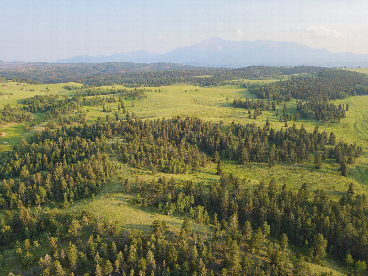 View South (towards Pikes Peak), from 120m above the point