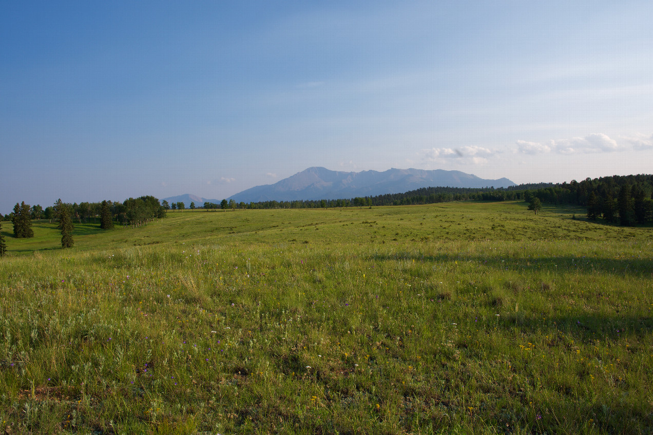 Looking South towards Pikes Peak (and the dirt road) from the undulating meadow, 0.28 miles from the point