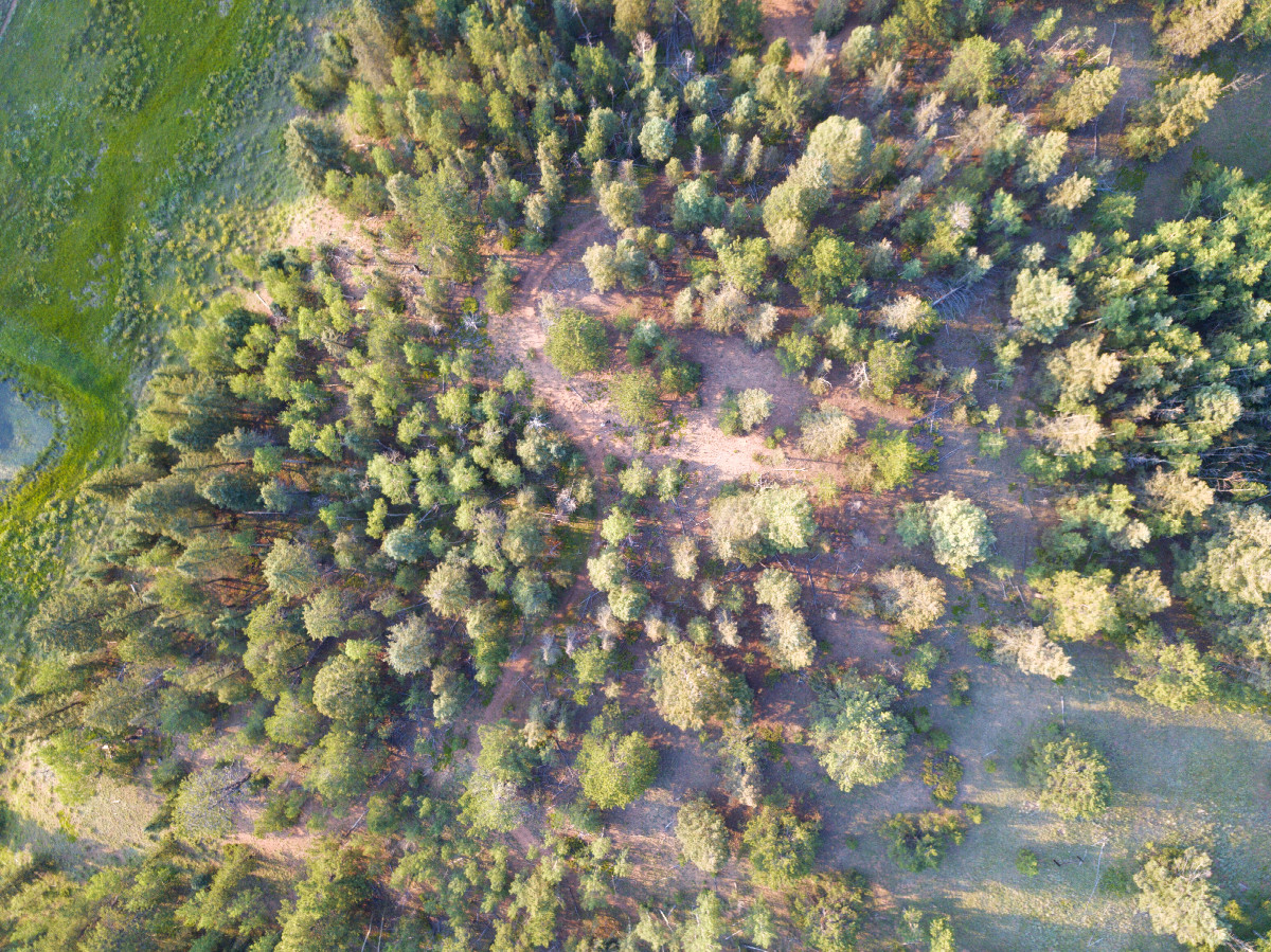 Looking down on the point from a height of 120m