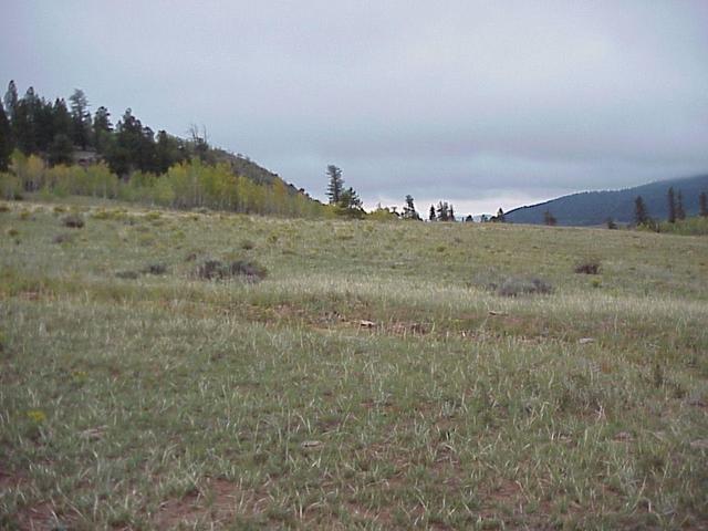 View to the east from the confluence.