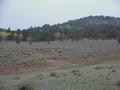 #5: View to the west from the confluence as light snow began to fall.