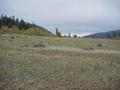 #6: View to the east from the confluence.