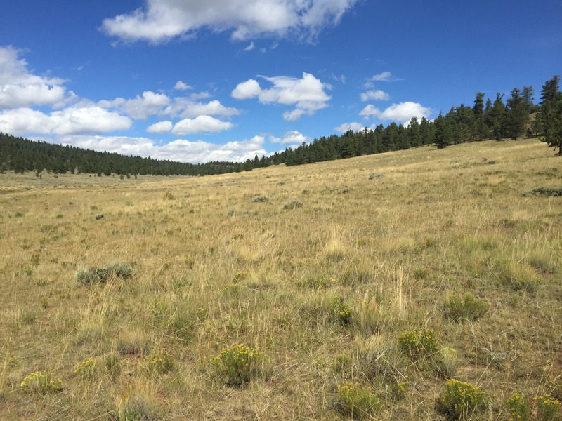 The confluence of 39 North 106 West lies in the center of the foreground of this photograph, looking northwest.