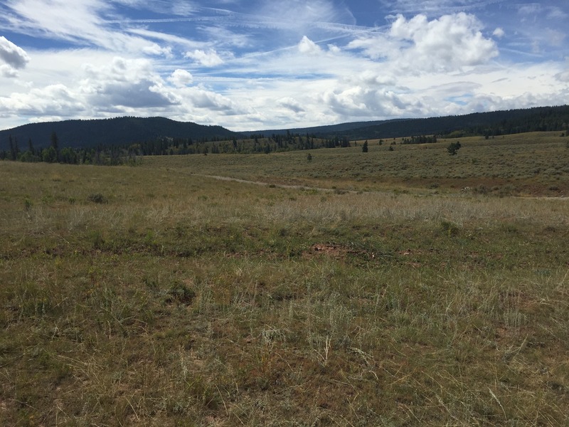 View to the south from the confluence.