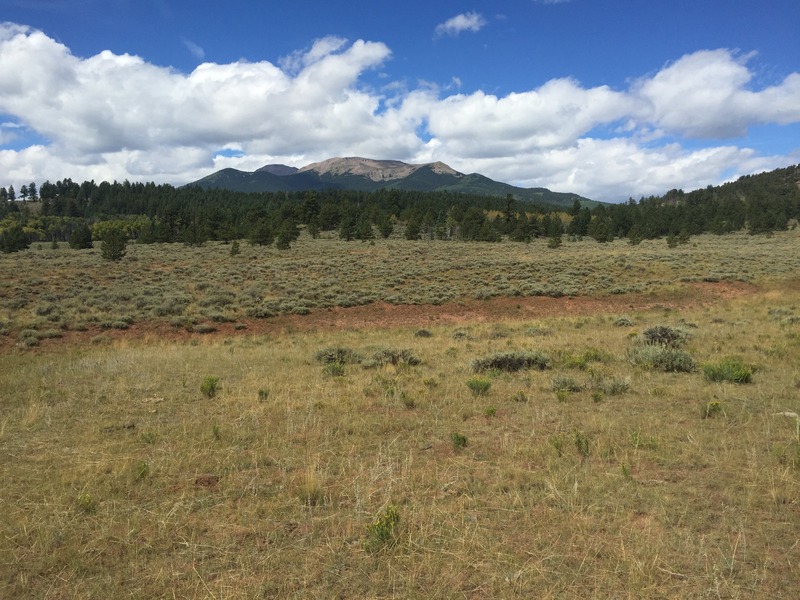 View to the west from the confluence. 