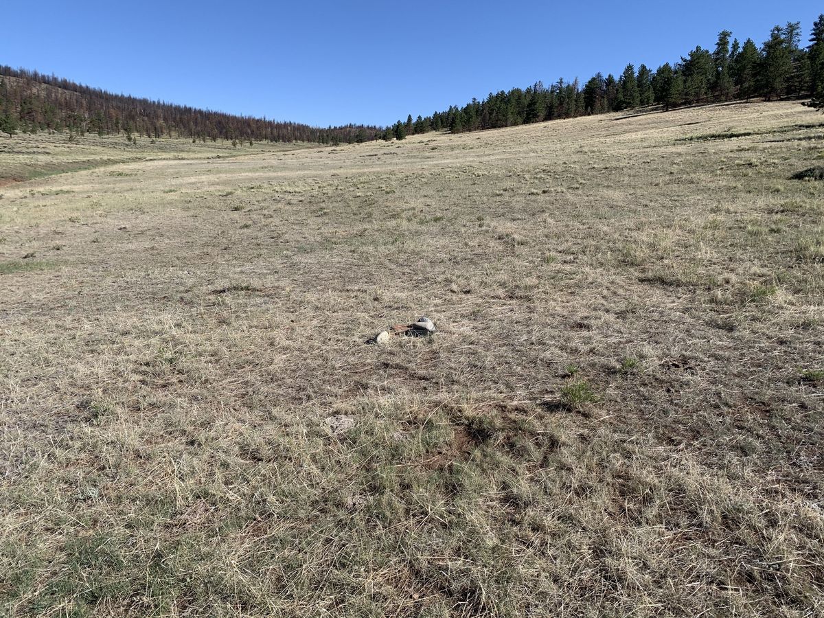 View of the confluence point and geocache, looking north