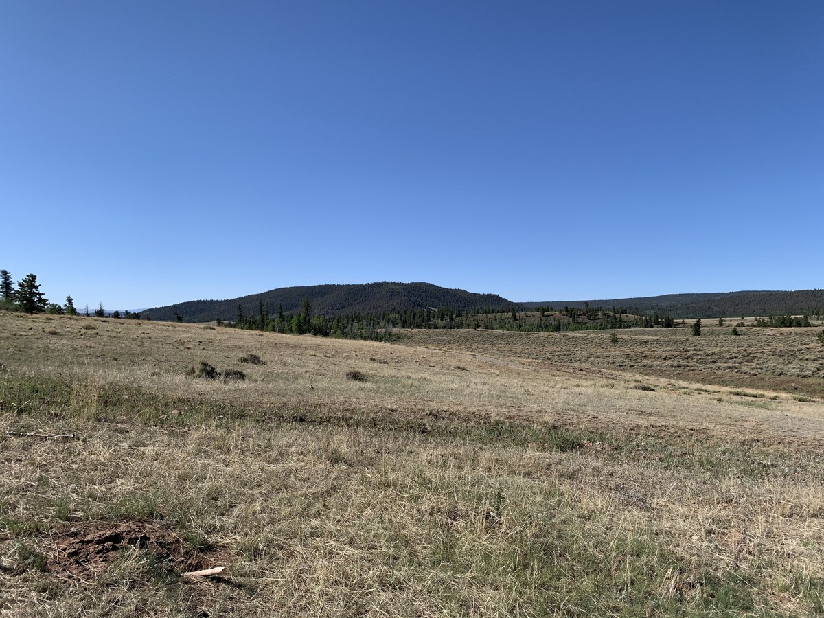 Looking south from the confluence point