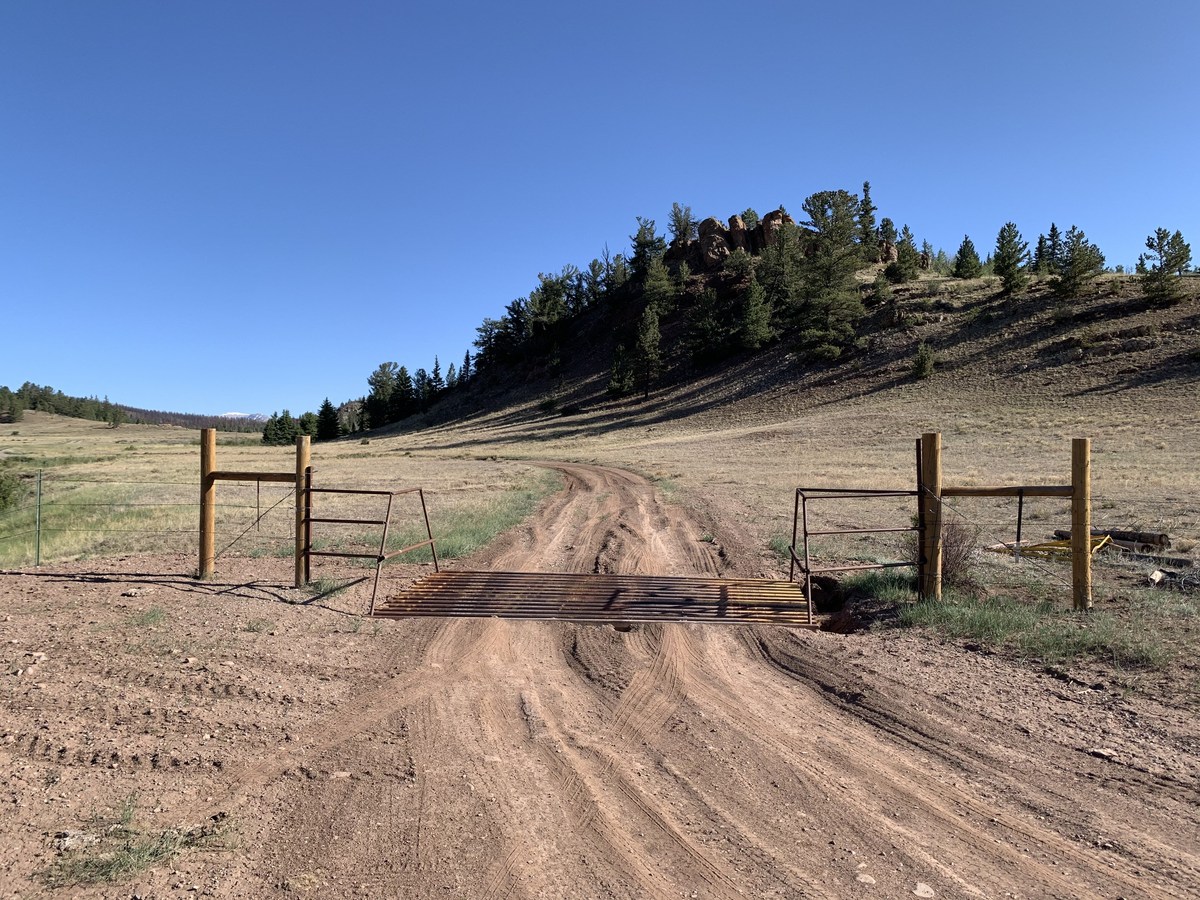 Cattle guard