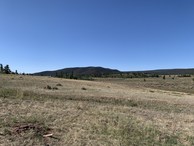 #3: Looking south from the confluence point