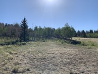 #4: Looking east from the confluence point