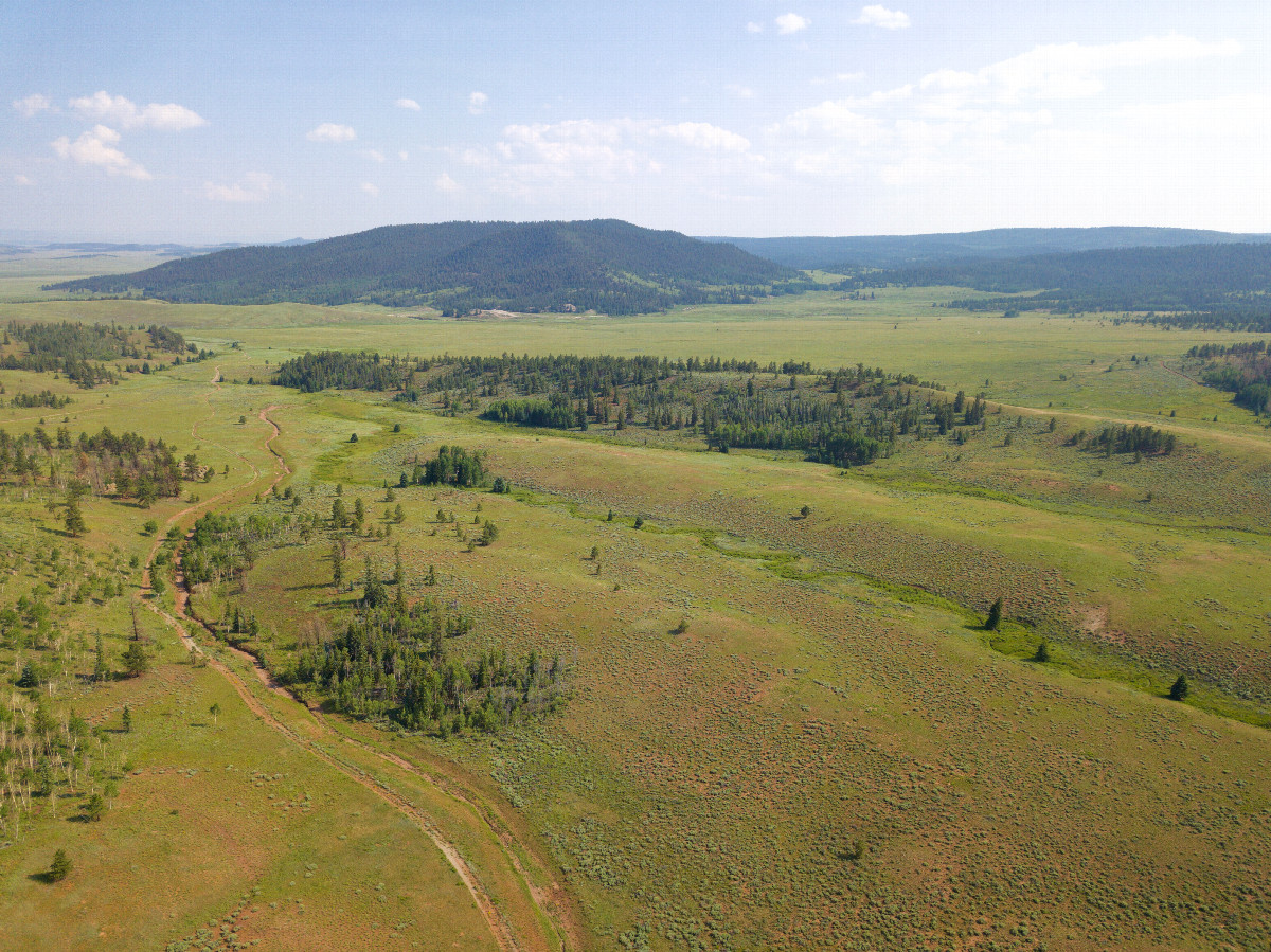 View South, from 120m above the point