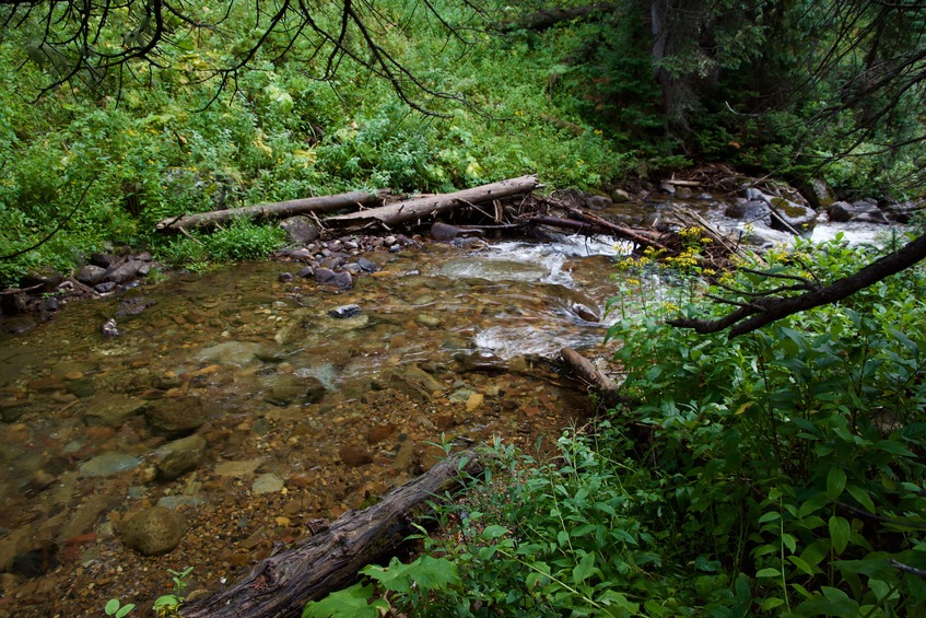 Where I crossed the creek (about 200 feet west of the point)