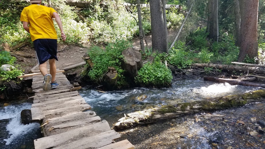 Part of the renowned 401 Trail that we briefly followed 