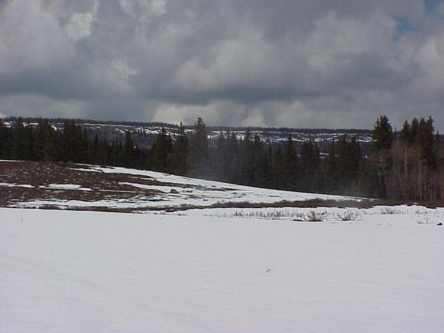 Meadow view about 200 meters northeast of the confluence, looking north.