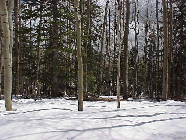 View to the south-southeast from the confluence.