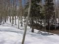 #5: View to the northwest from the confluence site.