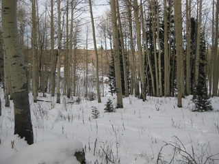 #1: View of the confluence looking northeast