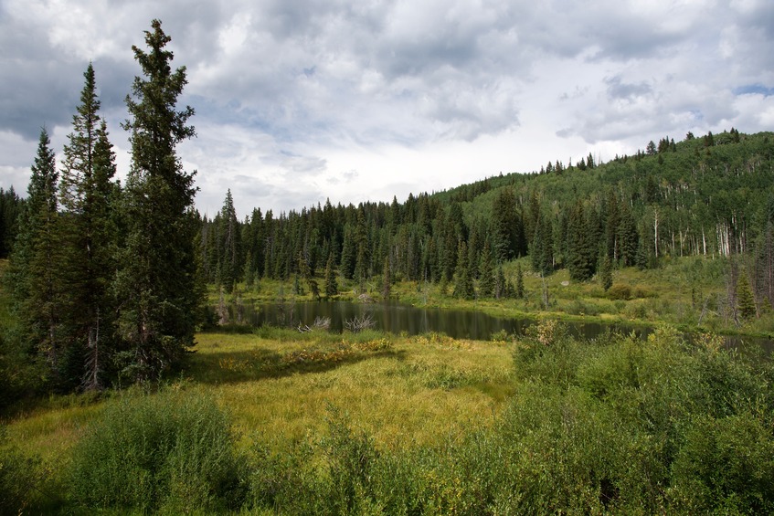 A small lake on the other side of the road from the trailhead, 0.57 miles from the point