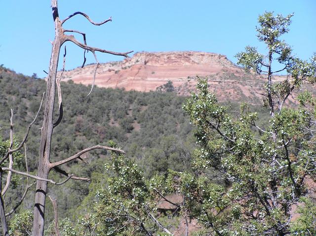 View to the west from the confluence of 39 North, 109 West.