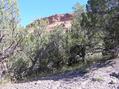 #2: View of the canyon wall to the north from the confluence point.