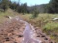 #9: Water in canyon, 200 meters west of the confluence, looking east.