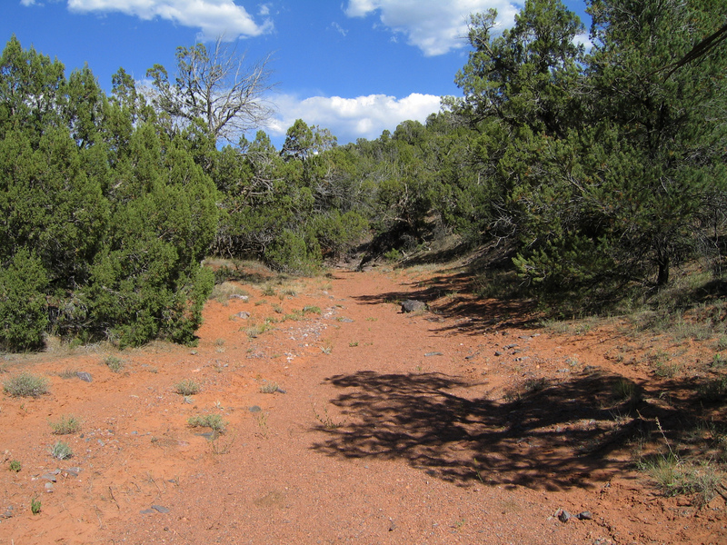 View east from clearing.